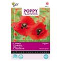Coquelicot Rouge Single Red - Buzzy Poppy Flowers