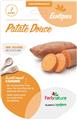 Patate douce 1 plant (ARM)