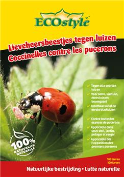 Coccinelles (Adalia) contre pucerons 100 larves Ecostyle BIO