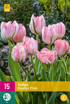 Tulipe Double Pink mix * 15 pc cal.11/12