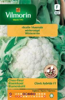 Chou Fleur D´Hiver Extra-Hâtif Clovis  (Vilm)